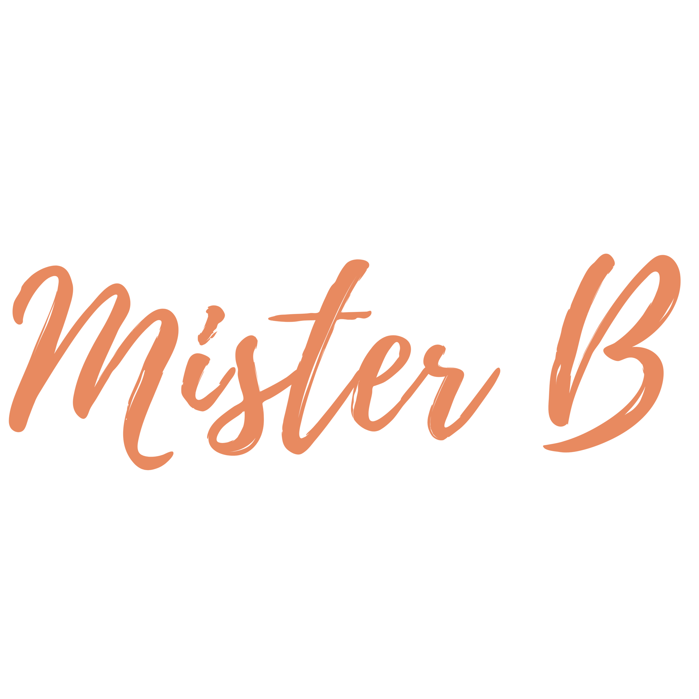 Edibles Mister B Explore CBD Products with Us!